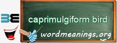 WordMeaning blackboard for caprimulgiform bird